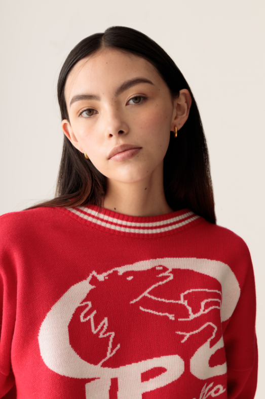 SWEATER CAMPEONES ROJO